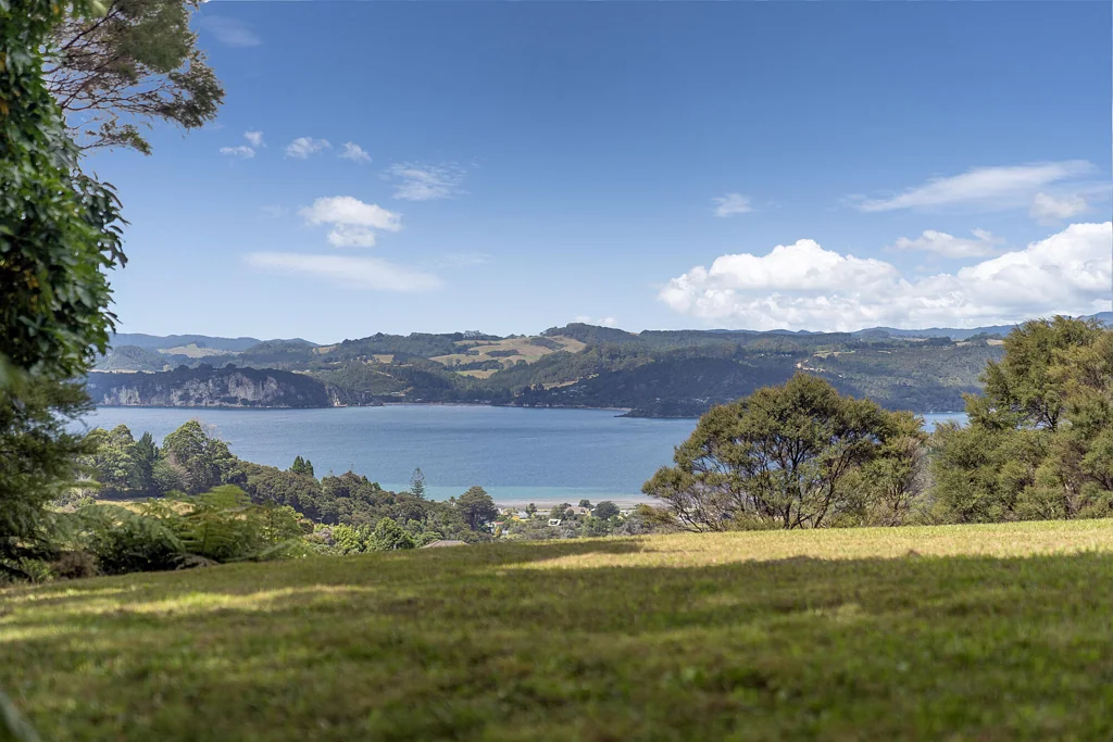 Whitianga A LITTLE BIT TOWN, A LITTLE BIT COUNTRY!