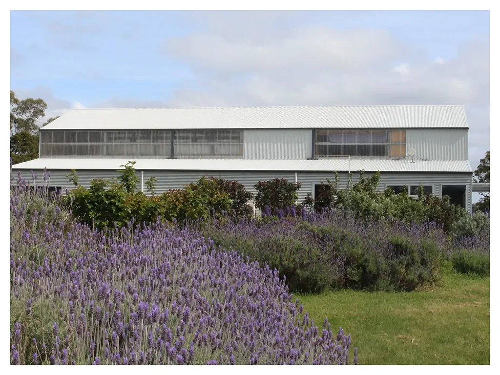 Rowella 1कमरा Income, Lifestyle and Lavender: A Rare Tamar Valley Offering