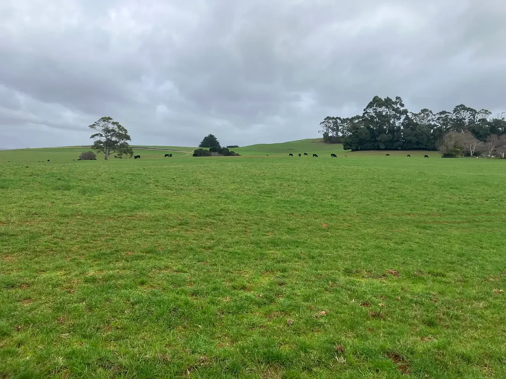 Flowerdale  Wynyard Farmlet