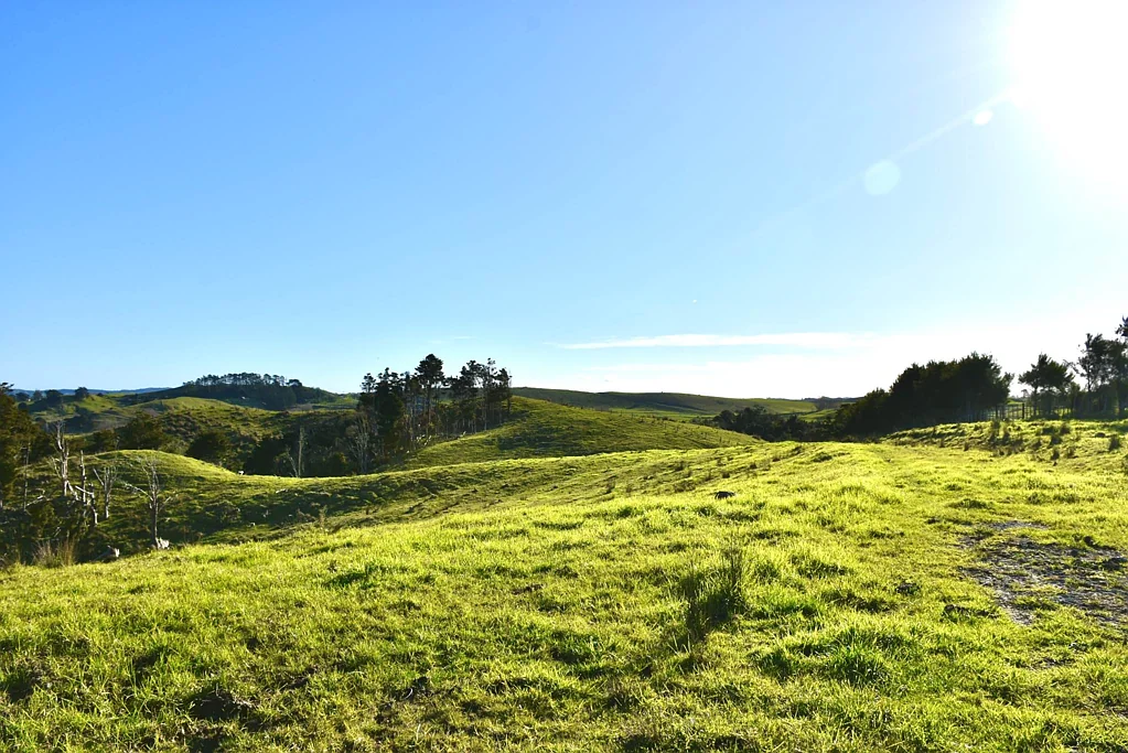 Topuni  Development Potential & Lifestyle Opportunity