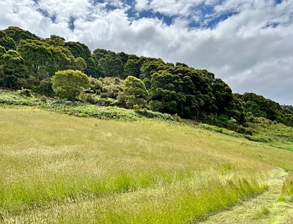 29371 Tasman Highway, Weldborough, Launceston and North East, 0 રૂમ, 0 બાથરૂમ, Section