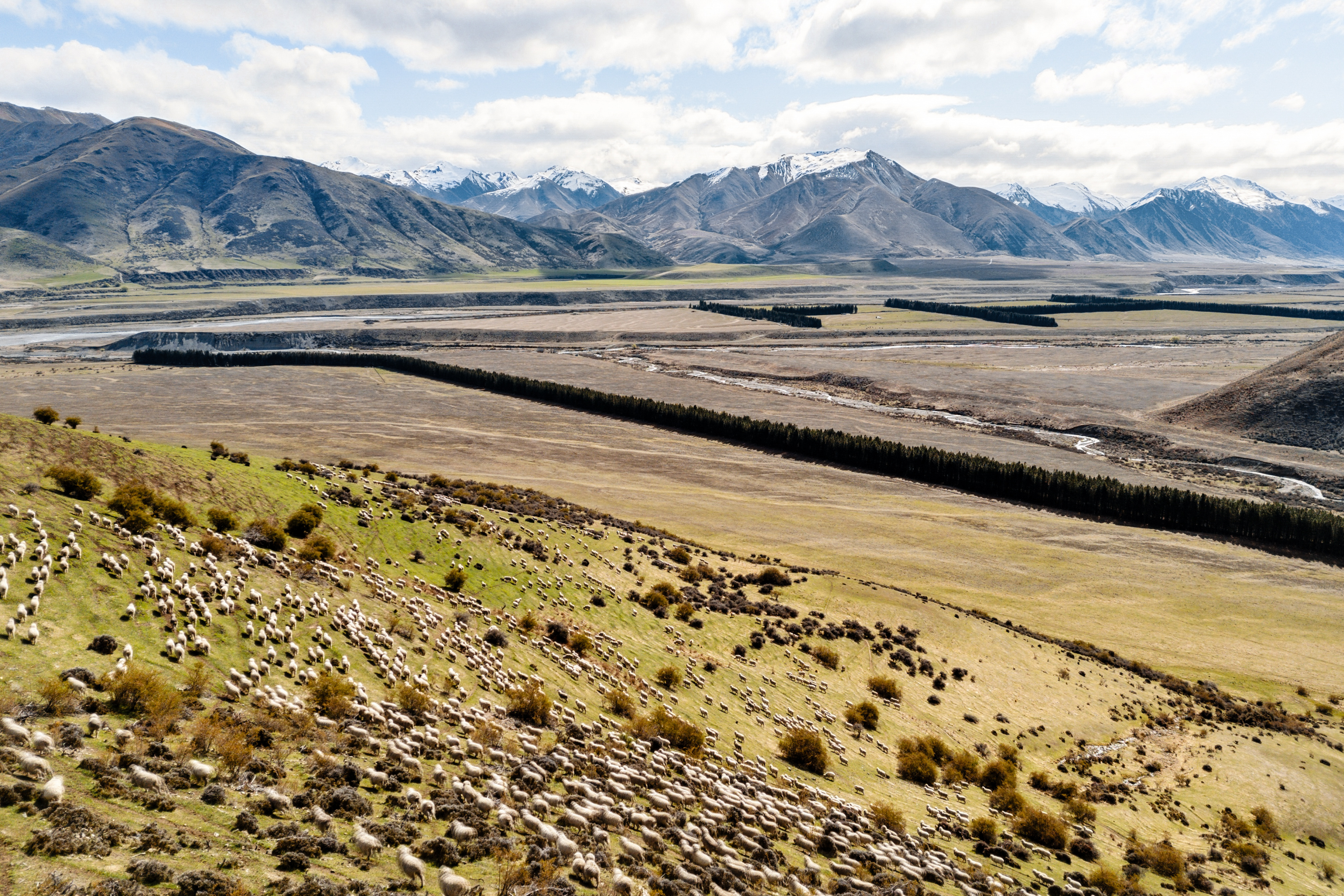 930 Henburn Road, Omarama, Waitaki, 0 phòng ngủ, 0 phòng tắm, High Country