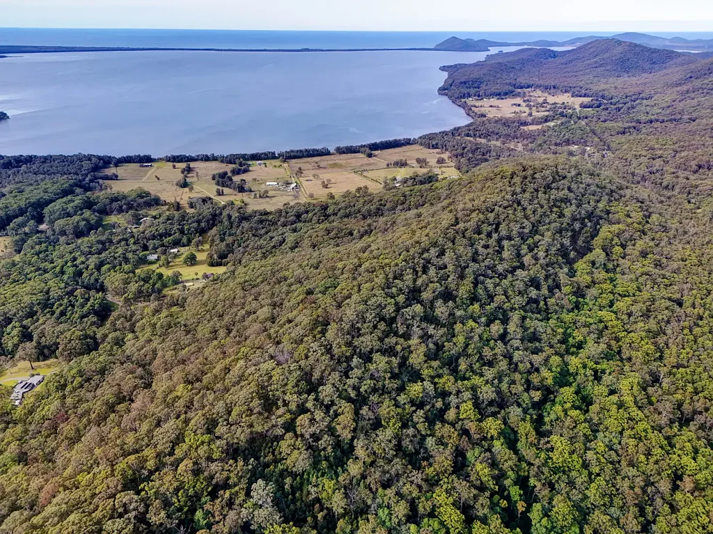 Coomba Bay  Elevated 25 acre bush block with timber shack