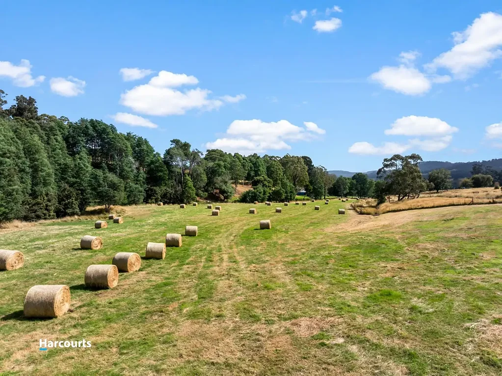 Lot 1 Rileys Creek Road, Geeveston, TAS 7116