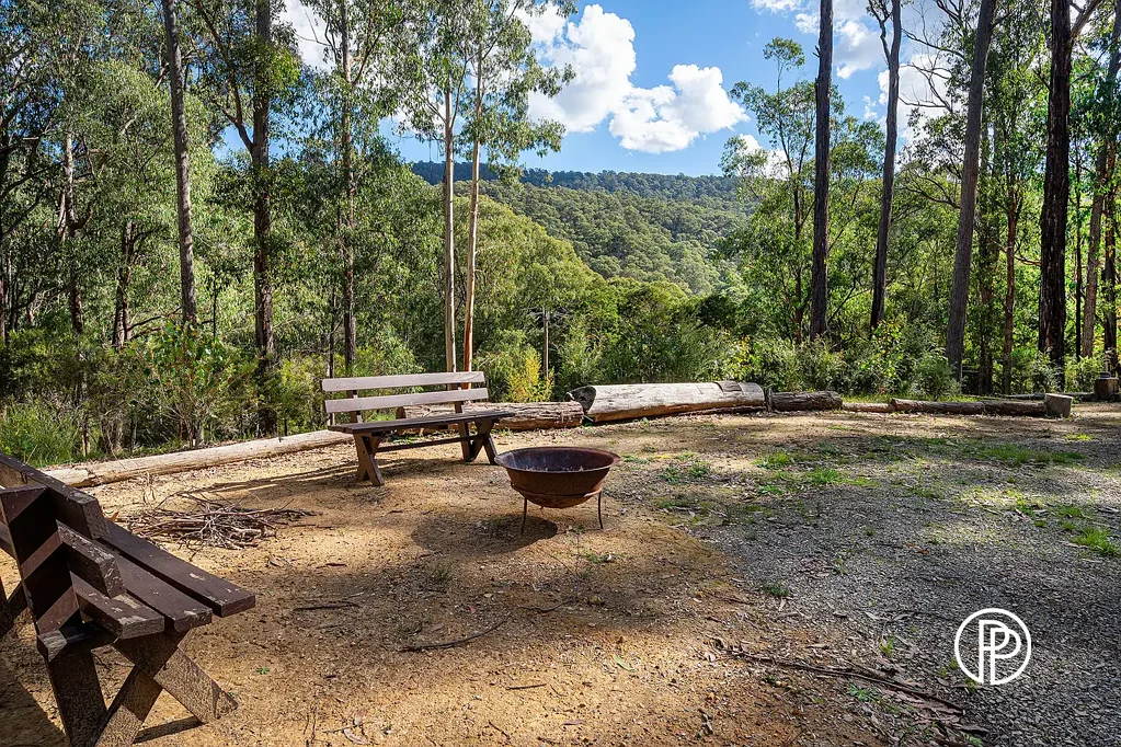 Reefton AHH, THE SERENITY – PEACE, PRIVACY ON OVER AN ACRE