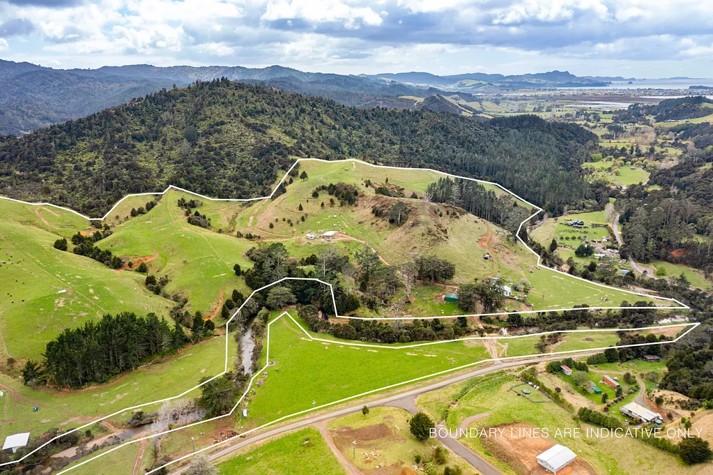 Whitianga 37 (mol) Hectares of Land, Livestock & Lifestyle!
