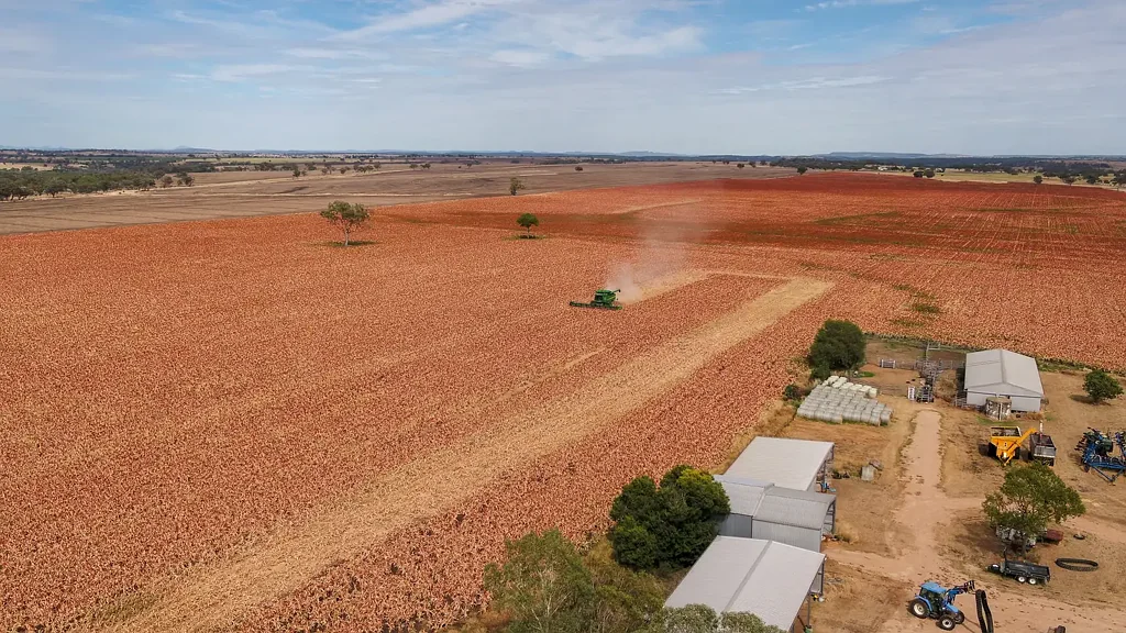 Inverell Productive Farm in the Delungra District