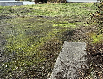 1 Naish Street, Balclutha, Clutha, 0 ਕਮਰੇ, 0 ਬਾਥਰੂਮ, Section