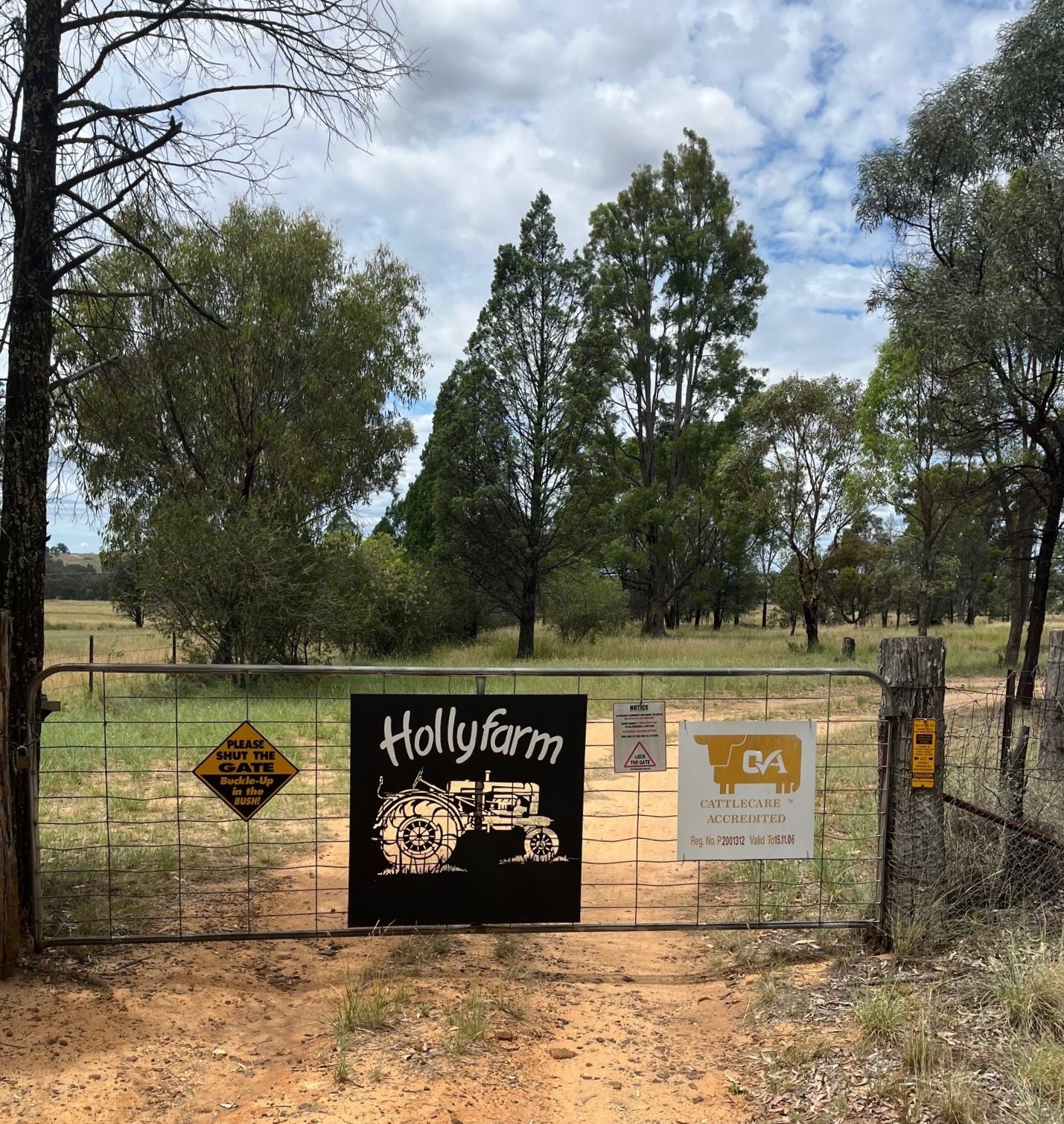 HOLLY FARM 6710 WARRUMBUNGLES WAY, COONABARABRAN NSW 2357, 0房, 0浴, Lifestyle Property