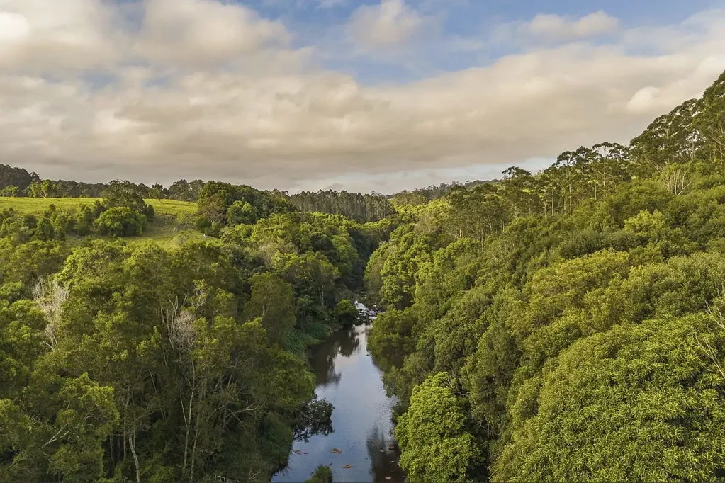 Coorabell Only 3 Lots Remaining | Ready to Build on Now | Boutique Land in Sought-after Coorabell