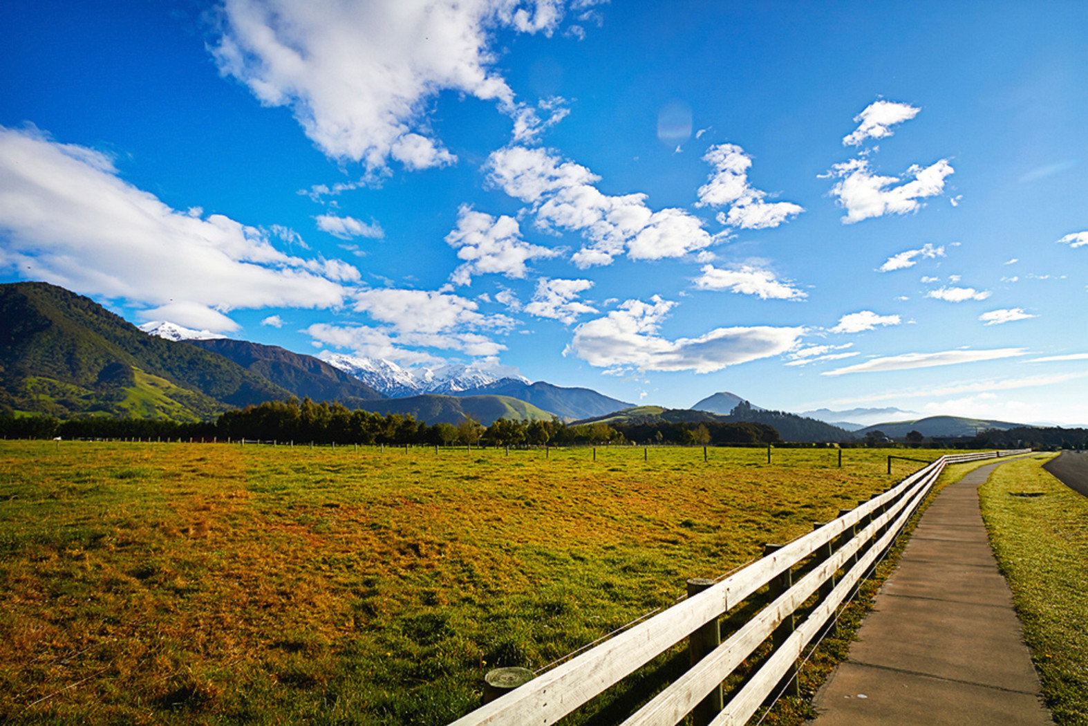 64 Koura Bay Drive, Hapuku, Kaikoura, 0 rūma, 0 rūma horoi