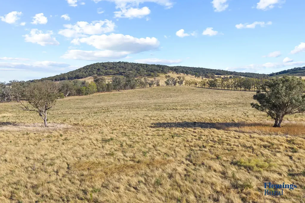 Boorowa  Versatile Cropping & Grazing Opportunity in the Boorowa District
