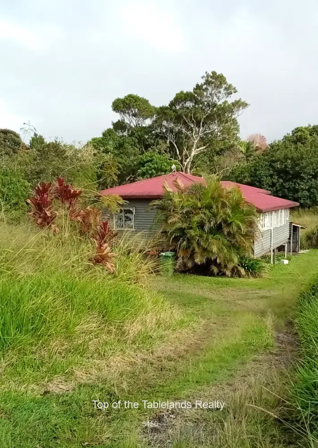 Millaa Millaa 13房  Investors Dream...4 Houses and Land