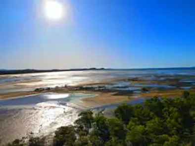 217 Slade Point Road, Slade Point, QLD 4740, 0 slaapkamers, 0 badkamers, Section