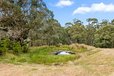 575 Deans Marsh Lorne Road, Deans Marsh, VIC 3235, 0 chambres, 0 salles de bain, Lifestyle Property