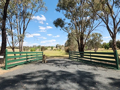 Young Rural Living Minutes to Town - Best of Both Worlds