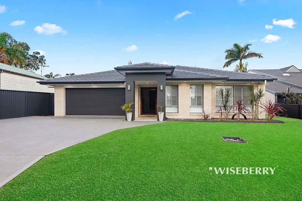 Buff Point 5Zimmer 3 Year Young Coral Home!