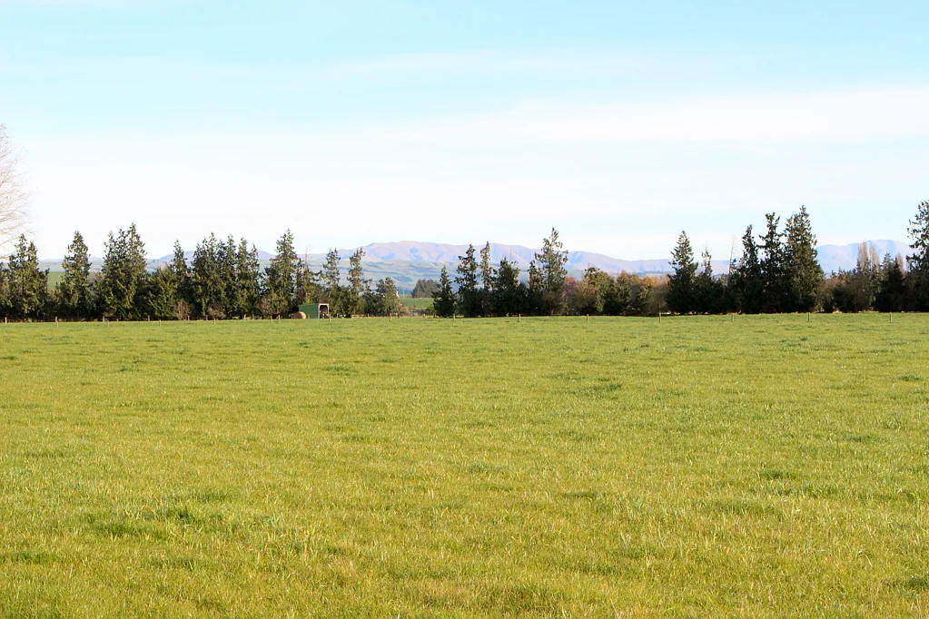 Pleasant Point 20 Hectares - Bare Land With Irrigation Shares
