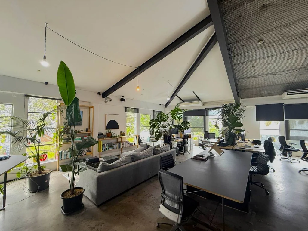 Grey Lynn GREY LYNN CHARACTER OFFICES