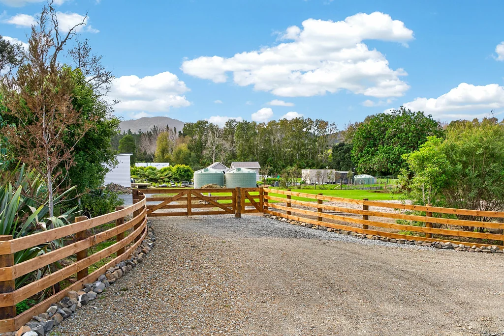 Mangawhai Life beneath the Puriri