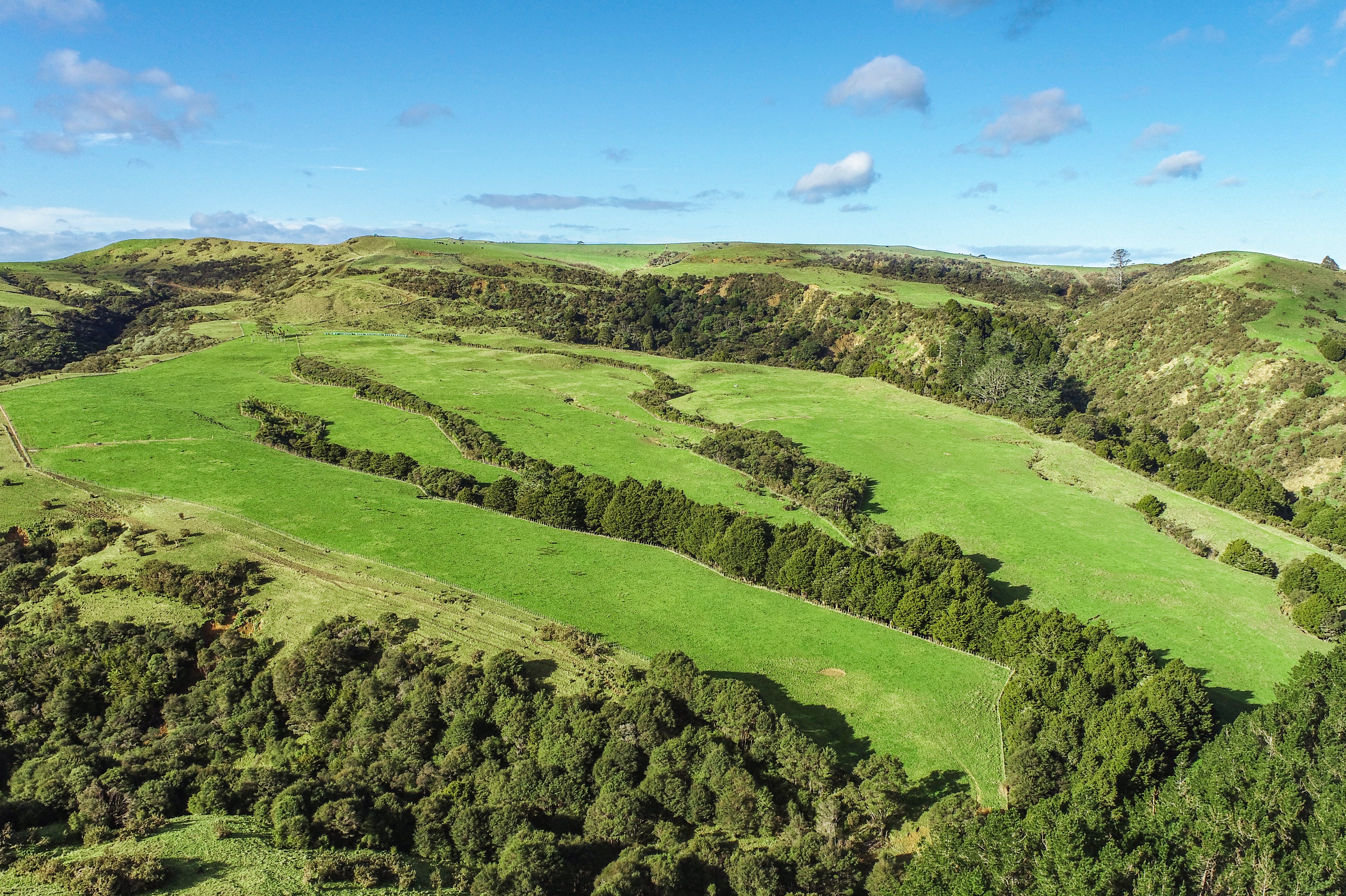 Oldfield Road, Wellsford, Auckland - Rodney, 0 ห้องนอน, 1 ห้องน้ำ, Grazing