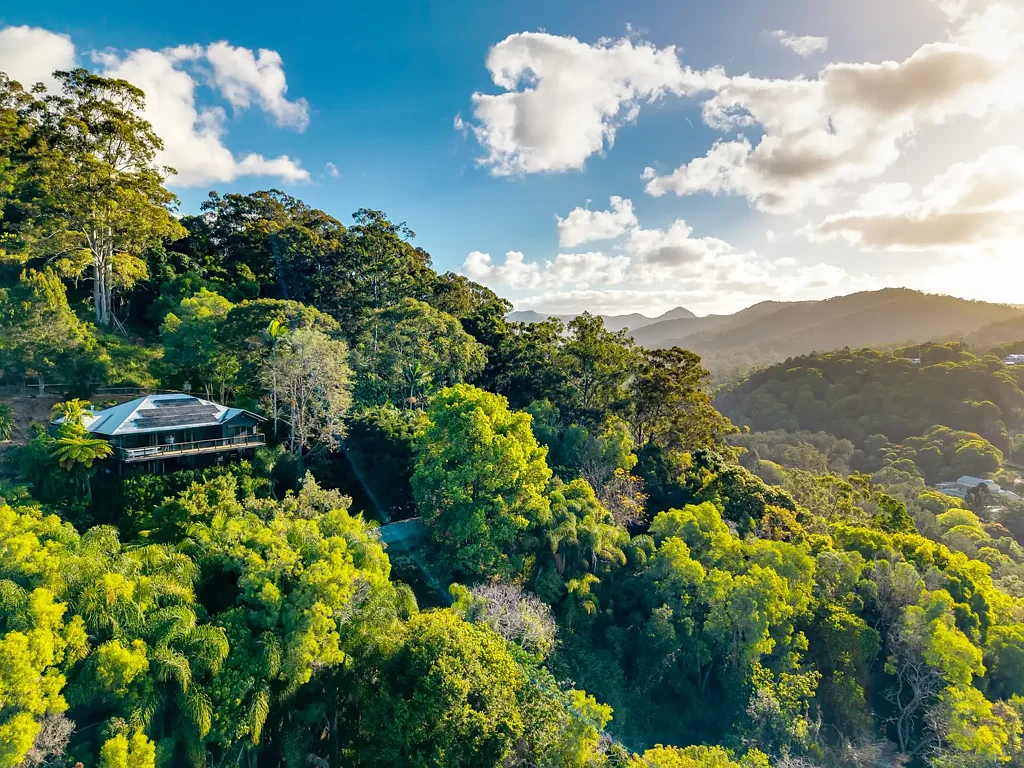 Tallebudgera 4कमरा The Ultimate Secluded Family Home and Serene Natural Sanctuary