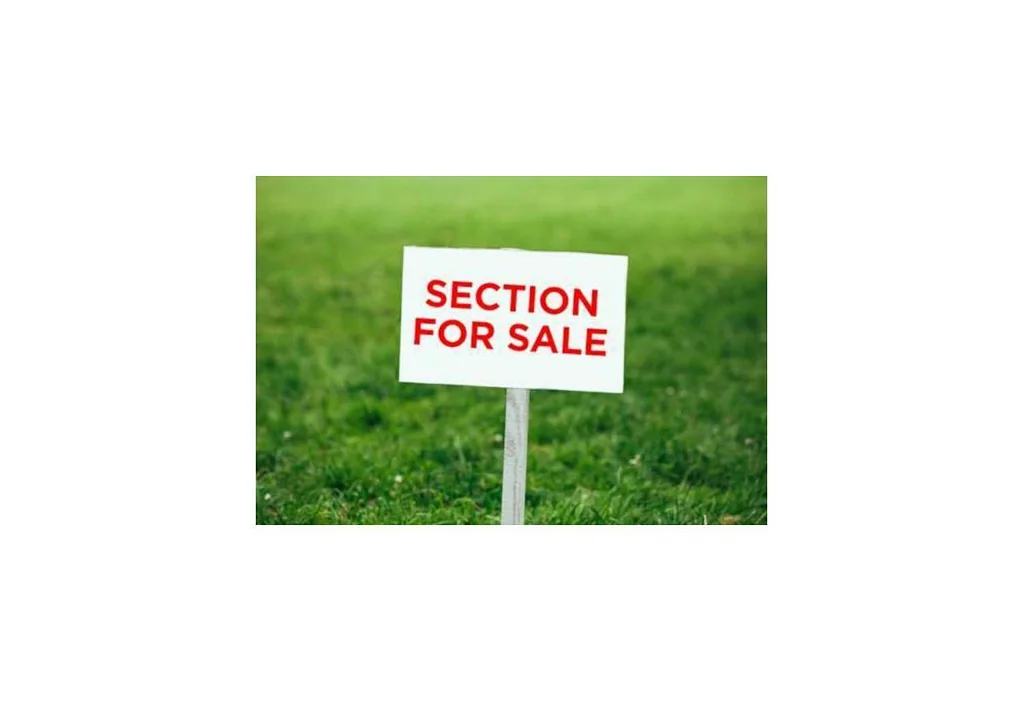 11 Christella Street, Flat Bush, Manukau City, Auckland
