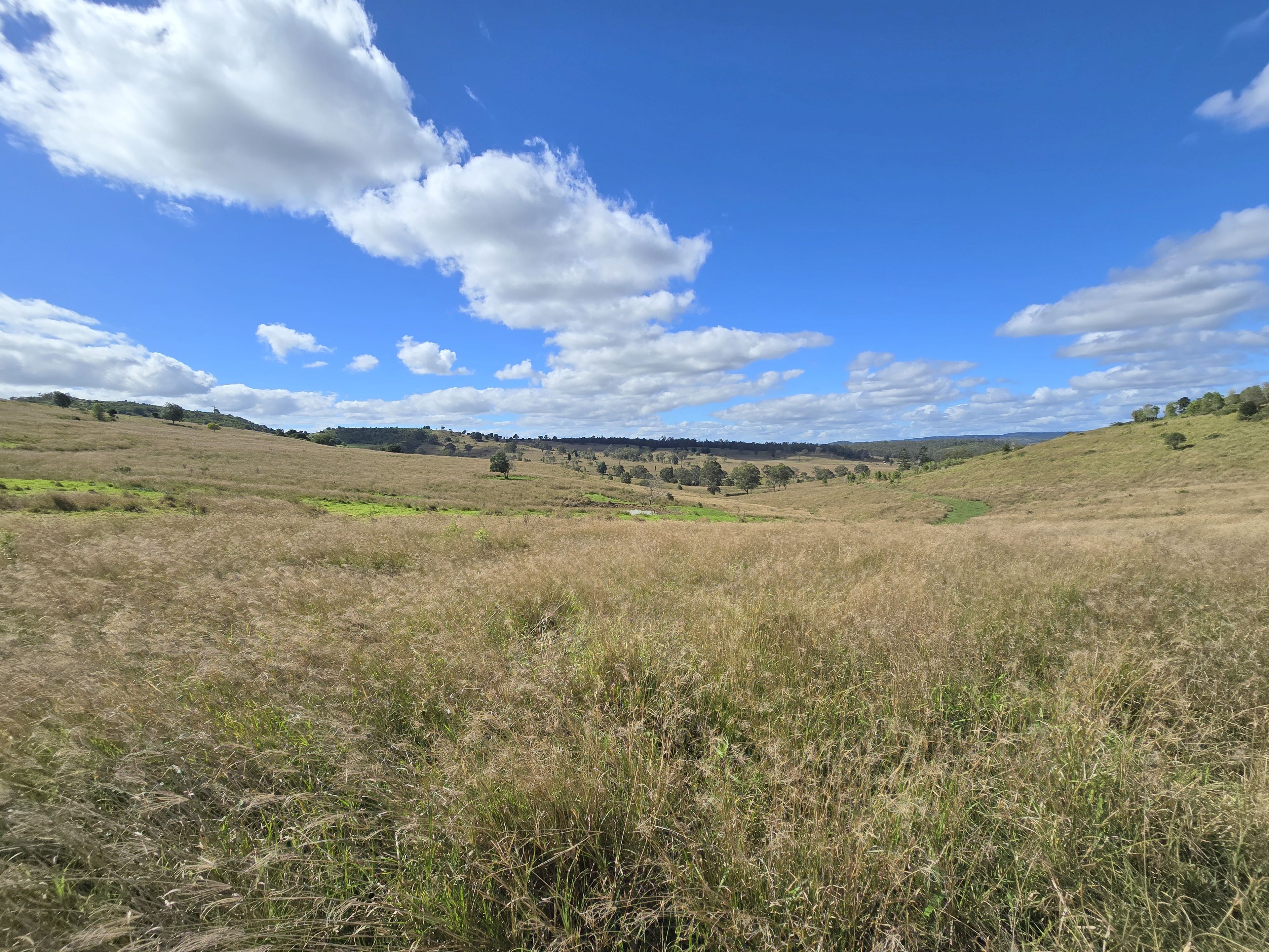 80 MACDIARMIDS RD, KOORALGIN QLD 4402, 0 રૂમ, 0 બાથરૂમ, Lifestyle Property