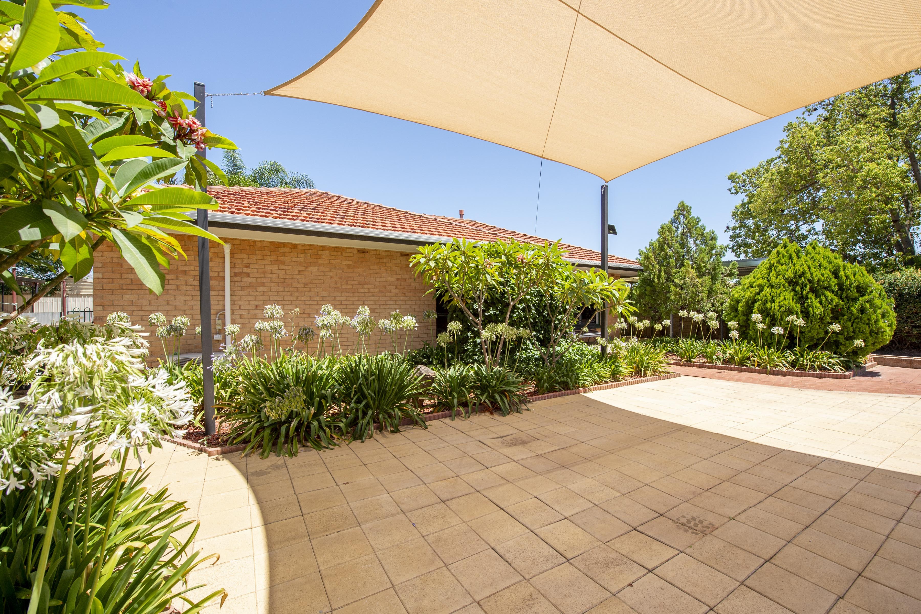 20 COLLINGWOOD ST, RISDON PARK SA 5540, 0房, 0浴, House