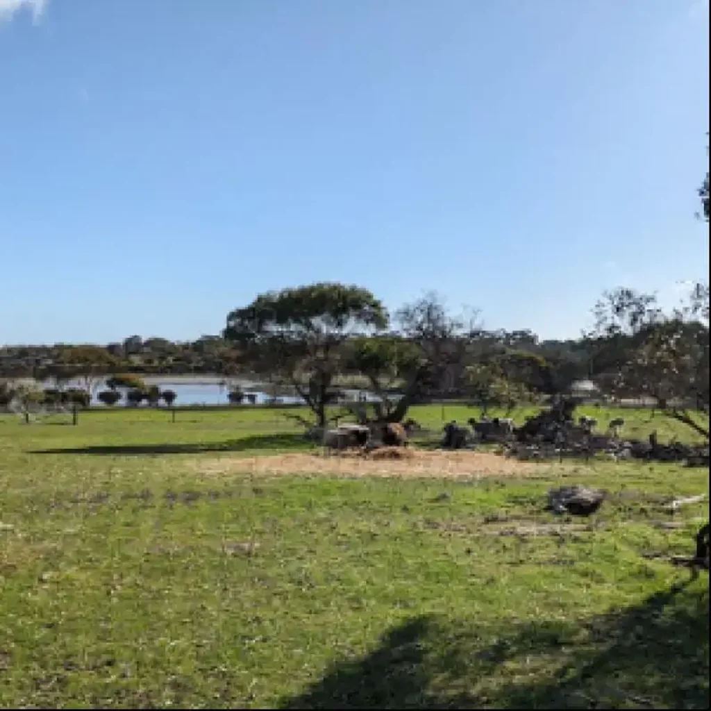 Minlaton 5 Acre residential block on edge of Minlation Township
