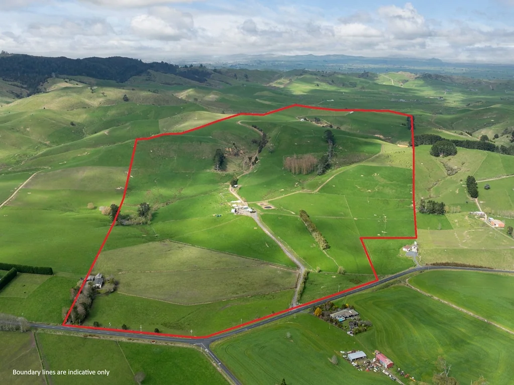 Morrinsville Very affordable grazing unit