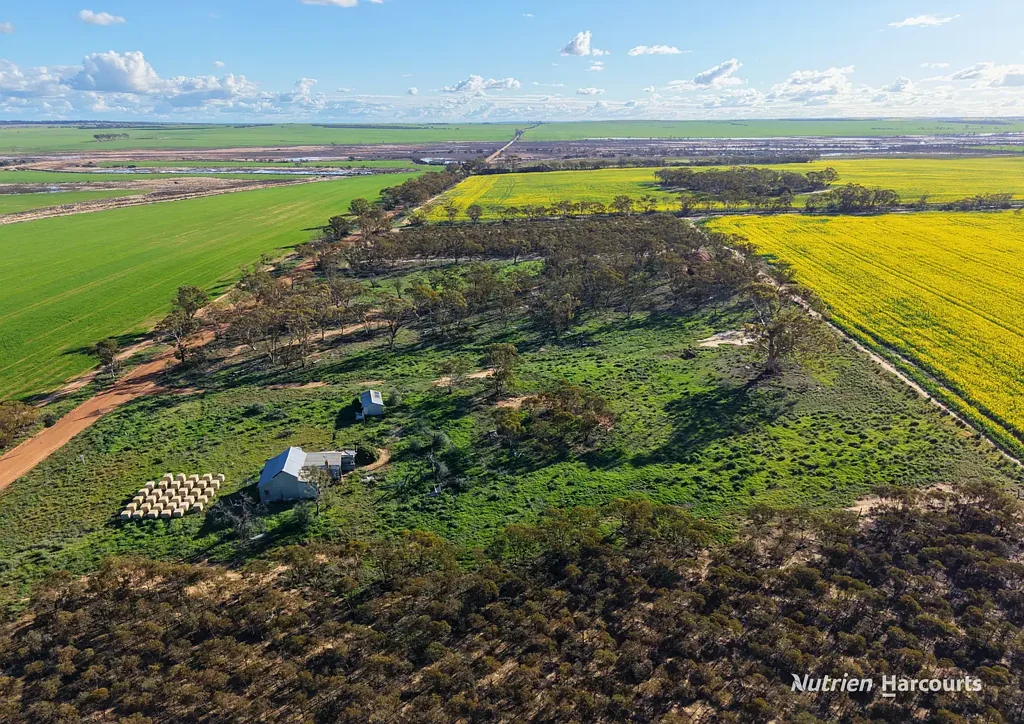 Hines Hill 31 ACRES OF LIFESTYLE WITH SERVICES AVAILABLE