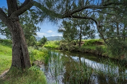 218 Cranky Corner Road, Stanhope
