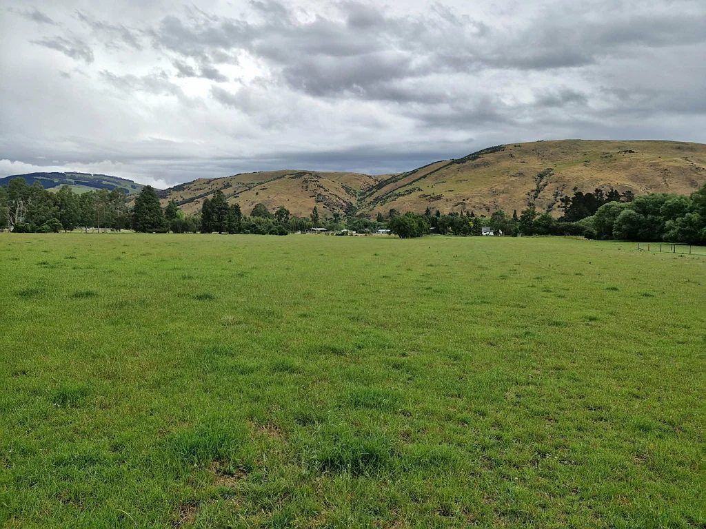 Roxburgh East Magnificent Millers Flat