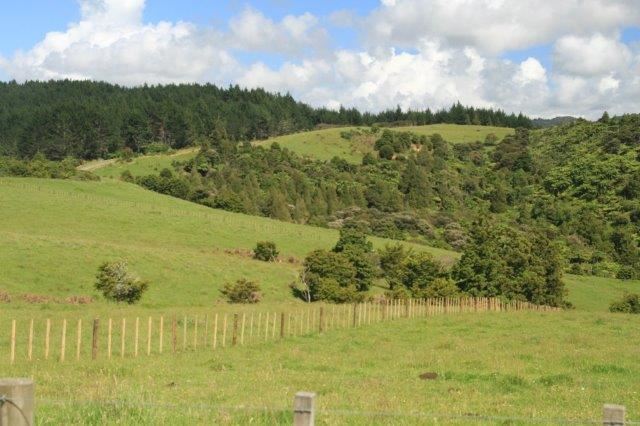 Durham Road, Waipu, Whangarei, 0 chambres, 1 salles de bain