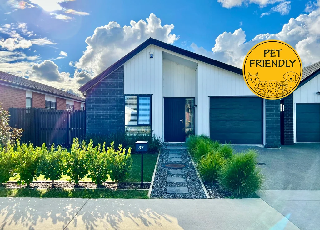 Modern 3 Bedroom, Ramarama