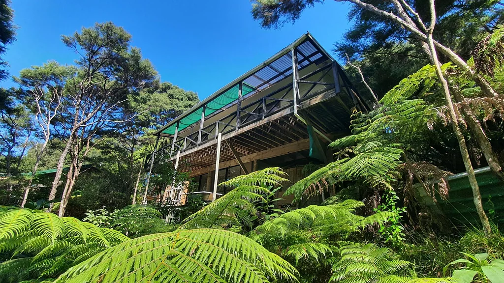 Kawau Island 3غرفة نوم Solid Bones, Big Opportunity - Be Quick!