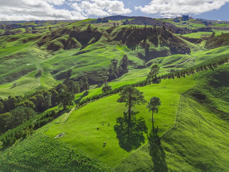 Coates Road, Waikite Valley, Rotorua, 0 غرف, 1 حمامات