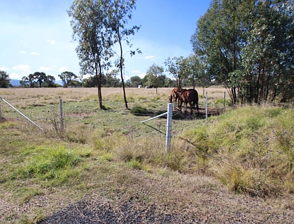 16 Robinsons Lane, Tenterfield, Tamworth, 0 침실, 0 욕실, Section