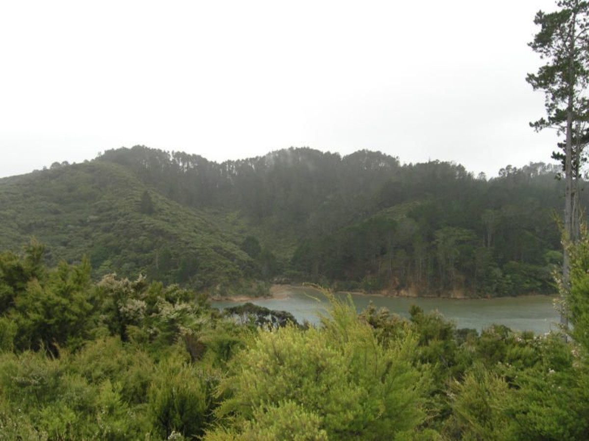 8 Edith Ridge Road, Kawau Island, Auckland - Rodney, 0 rūma, 0 rūma horoi