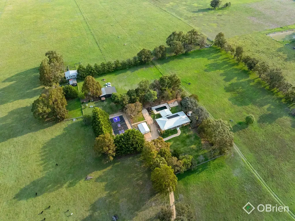 Lindenow South Ultimate Oasis on 100 Acres - Stunning Modern farmhouse, Pool & Full-size Basketball Court