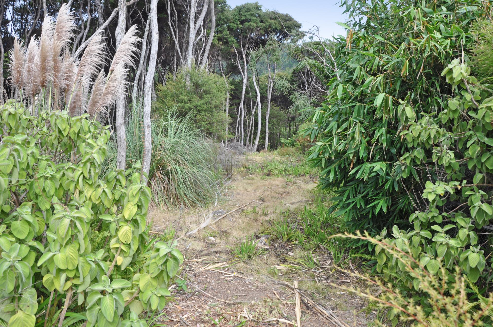 6 Lavinia Place, Kawau Island, Auckland - Rodney, 0 Schlafzimmer, 0 Badezimmer