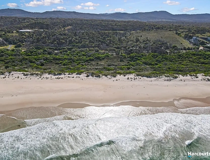 PID 7689699 Tasman Highway, Beaumaris, TAS 7215, 0 ਕਮਰੇ, 0 ਬਾਥਰੂਮ, Section