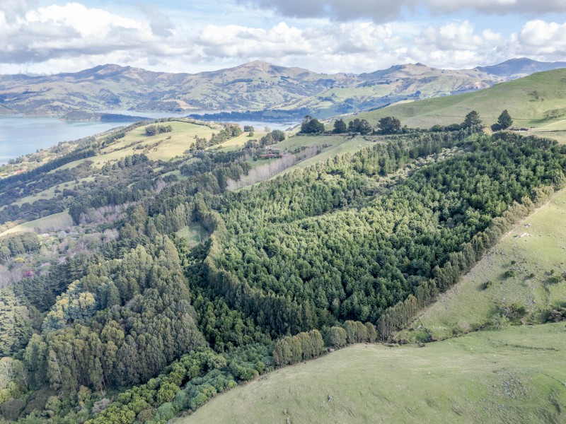 200 Okains Bay Road, Robinsons Bay, Christchurch, 0 ਕਮਰੇ, 0 ਬਾਥਰੂਮ