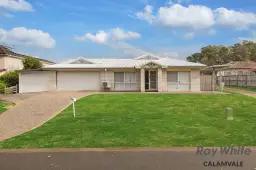 20 Muscari Crescent, Drewvale