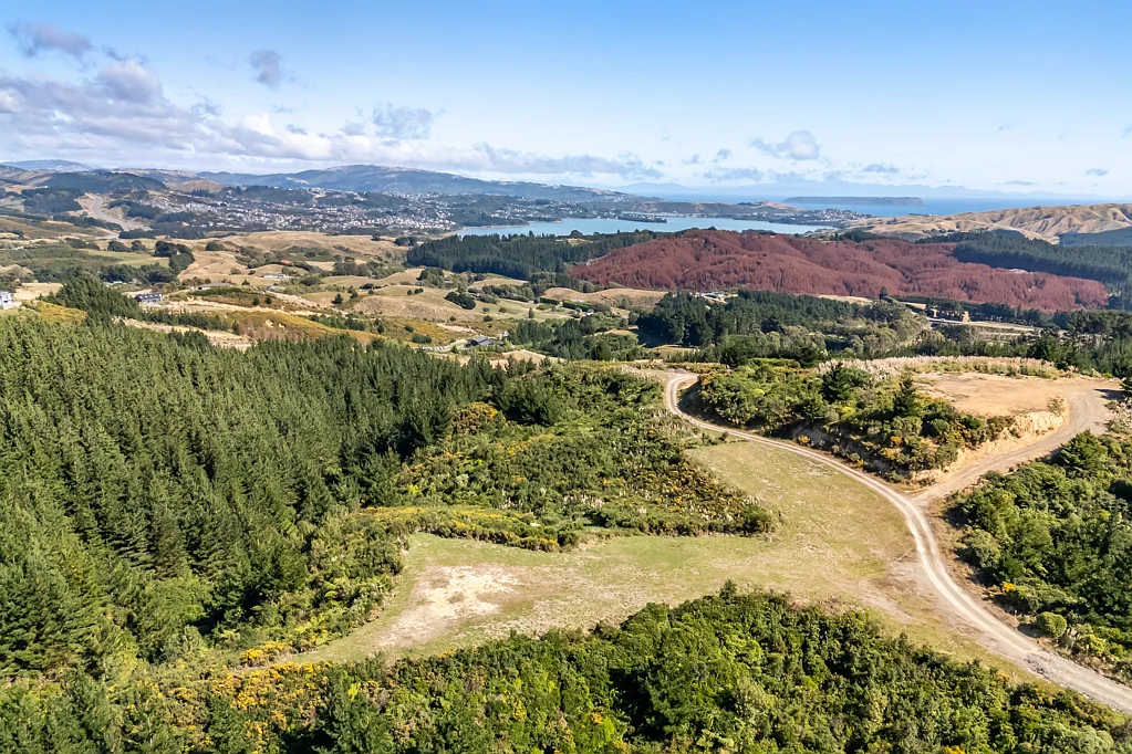 Pauatahanui Owners want gone! 2.51 Ha section