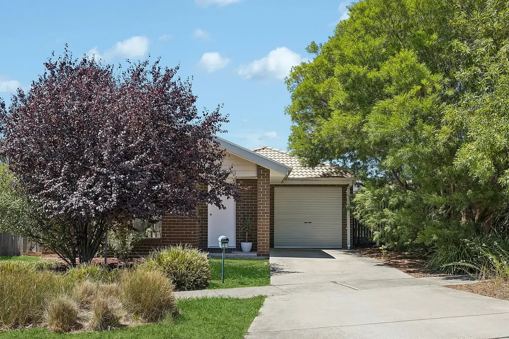 44 John Holt Street, Macgregor, ACT 2615