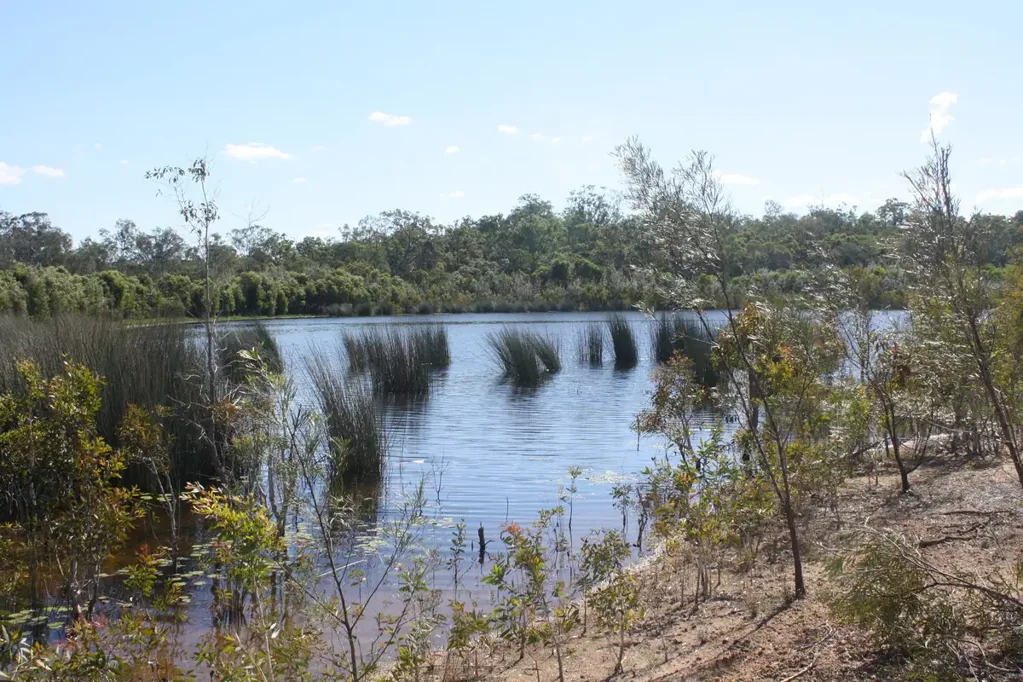 Moorland 140 ACRES of NEW COUNTRY WITH WATER