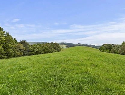 201 Checkley Road, Raglan, Waikato, 0 ਕਮਰੇ, 0 ਬਾਥਰੂਮ, Section