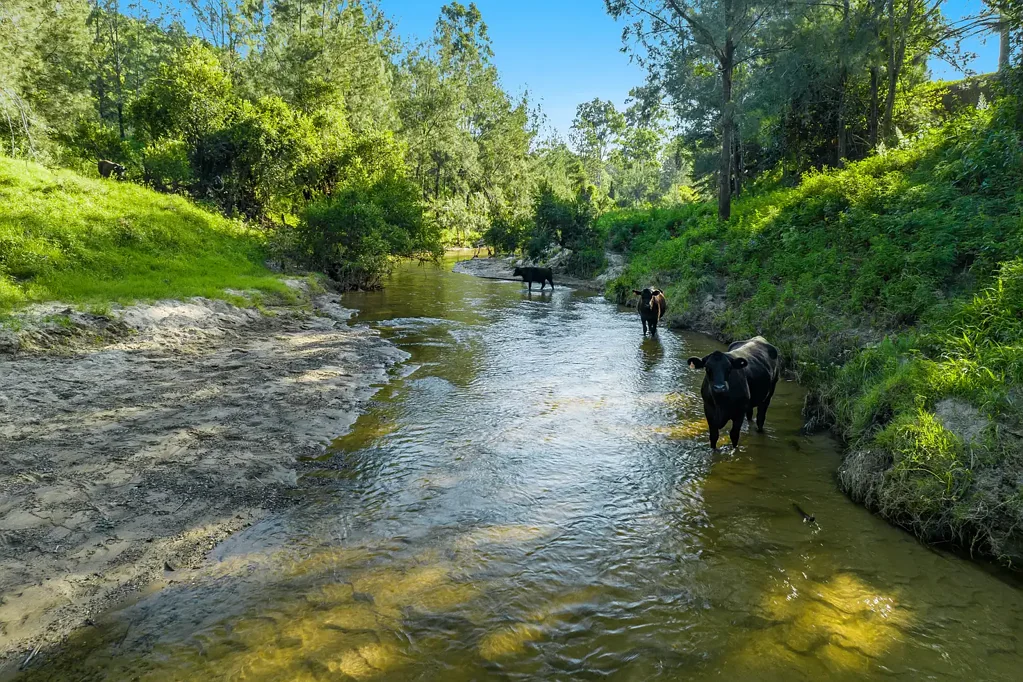 Theresa Creek  Creek frontage